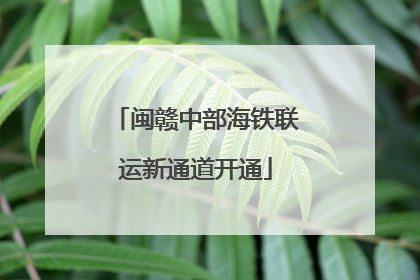 闽赣中部海铁联运新通道开通