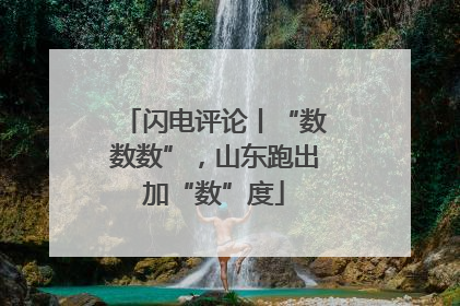 闪电评论丨“数数数”，山东跑出加“数”度
