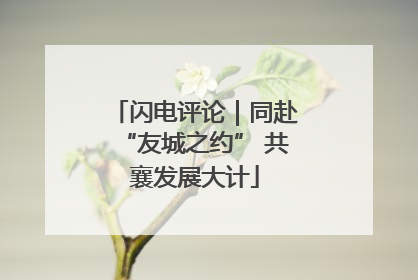 闪电评论｜同赴“友城之约” 共襄发展大计