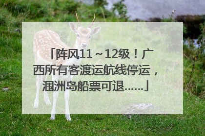 阵风11～12级！广西所有客渡运航线停运，涠洲岛船票可退……