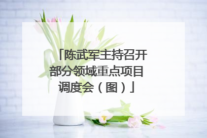 陈武军主持召开部分领域重点项目调度会（图）
