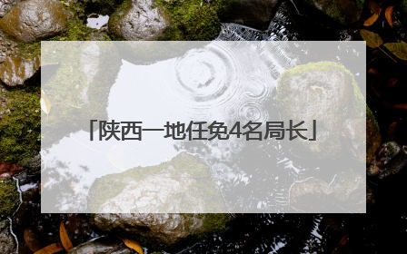 陕西一地任免4名局长