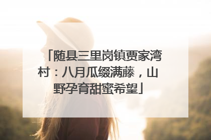 随县三里岗镇贾家湾村：八月瓜缀满藤，山野孕育甜蜜希望