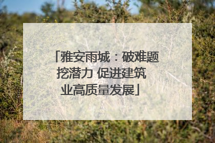 雅安雨城：破难题 挖潜力 促进建筑业高质量发展