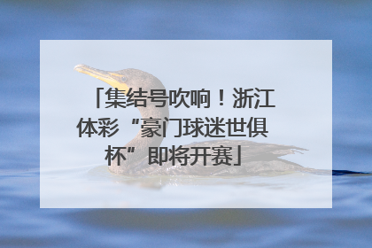 集结号吹响！浙江体彩“豪门球迷世俱杯”即将开赛