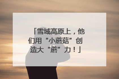 雪域高原上，他们用“小蘑菇”创造大“蘑”力！