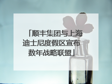 顺丰集团与上海迪士尼度假区宣布数年战略联盟