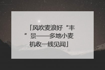 风吹麦浪好“丰”景——多地小麦机收一线见闻