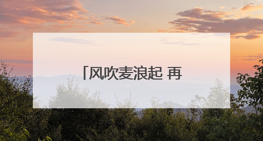 风吹麦浪起 再上神禾塬——陕西西安夏收见闻