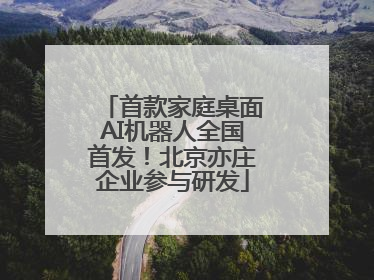 首款家庭桌面AI机器人全国首发！北京亦庄企业参与研发