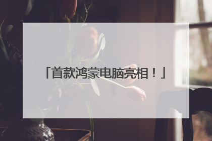 首款鸿蒙电脑亮相！