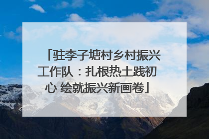 驻李子塘村乡村振兴工作队：扎根热土践初心 绘就振兴新画卷