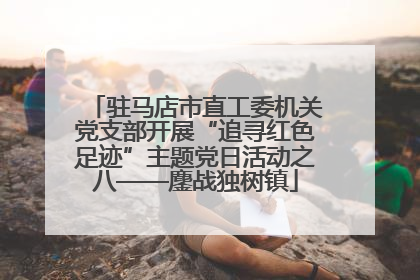 驻马店市直工委机关党支部开展“追寻红色足迹”主题党日活动之八——鏖战独树镇