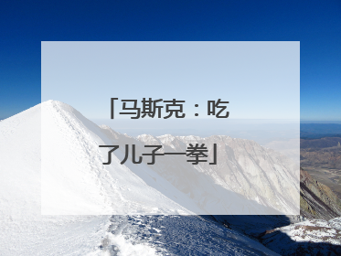 马斯克：吃了儿子一拳