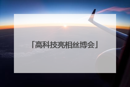 高科技亮相丝博会