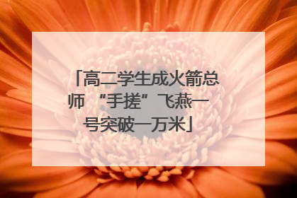 高二学生成火箭总师 “手搓”飞燕一号突破一万米