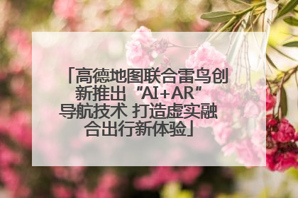 高德地图联合雷鸟创新推出“AI+AR”导航技术 打造虚实融合出行新体验