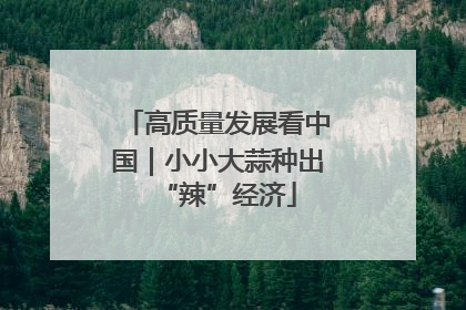 高质量发展看中国｜小小大蒜种出“辣”经济