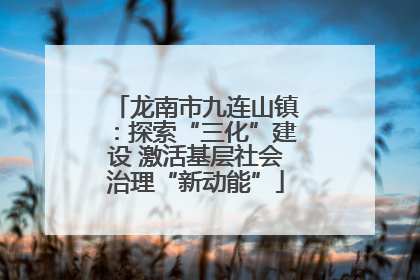 龙南市九连山镇：探索“三化”建设 激活基层社会治理“新动能”