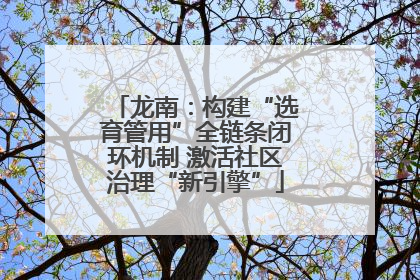 龙南：构建“选育管用”全链条闭环机制 激活社区治理“新引擎”