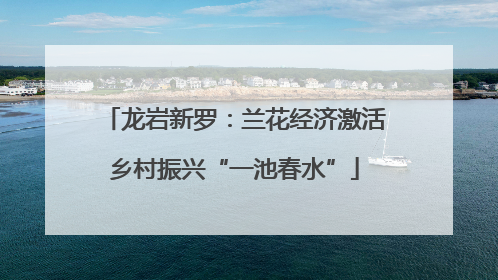 龙岩新罗：兰花经济激活乡村振兴“一池春水”