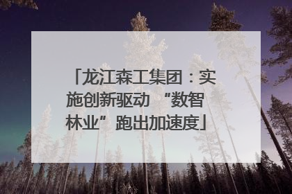 龙江森工集团：实施创新驱动 “数智林业”跑出加速度