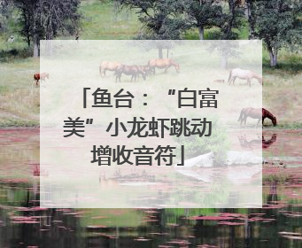 鱼台：“白富美”小龙虾跳动增收音符