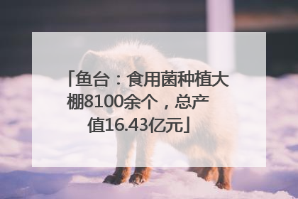 鱼台：食用菌种植大棚8100余个，总产值16.43亿元
