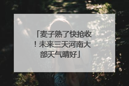 麦子熟了快抢收！未来三天河南大部天气晴好
