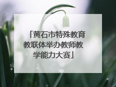 黄石市特殊教育教联体举办教师教学能力大赛
