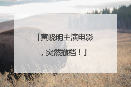 黄晓明主演电影，突然撤档！