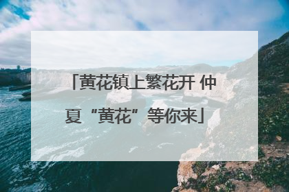 黄花镇上繁花开 仲夏“黄花”等你来