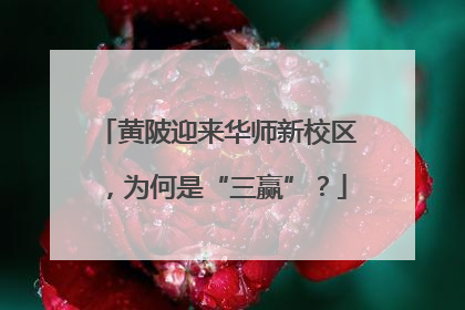 黄陂迎来华师新校区，为何是“三赢”？