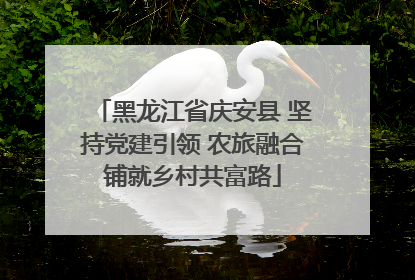 黑龙江省庆安县 坚持党建引领 农旅融合铺就乡村共富路