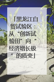 黑龙江自贸试验区：从“创新试验田”向“经济增长极”的质变