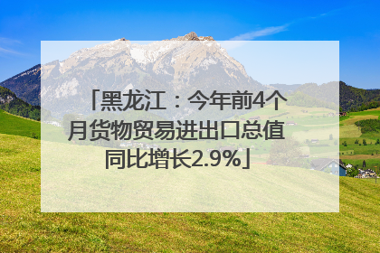 黑龙江：今年前4个月货物贸易进出口总值同比增长2.9%