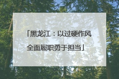 黑龙江：以过硬作风全面履职勇于担当