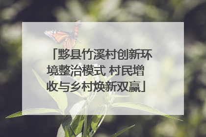 黟县竹溪村创新环境整治模式 村民增收与乡村焕新双赢