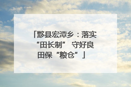 黟县宏潭乡：落实“田长制” 守好良田保“粮仓”