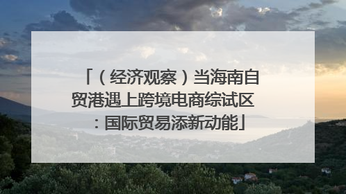 （经济观察）当海南自贸港遇上跨境电商综试区：国际贸易添新动能