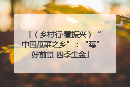 （乡村行·看振兴）“中国瓜菜之乡”：“莓”好前景 四季生金