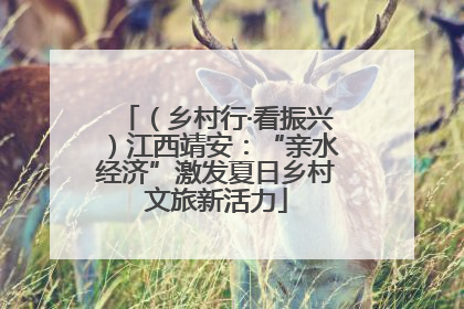（乡村行·看振兴）江西靖安：“亲水经济”激发夏日乡村文旅新活力