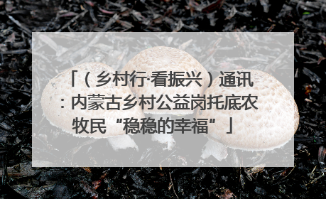 （乡村行·看振兴）通讯：内蒙古乡村公益岗托底农牧民“稳稳的幸福”