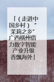 （走进中国乡村）“茉莉之乡”广西横州借力数字智能 产业升级香飘海外