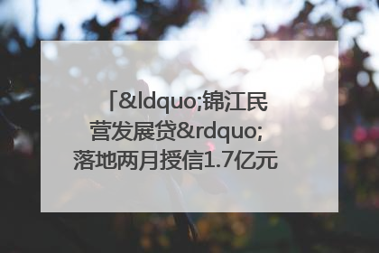 “锦江民营发展贷”落地两月授信1.7亿元，惠及118家民企