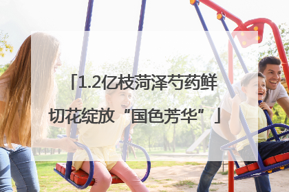 1.2亿枝菏泽芍药鲜切花绽放“国色芳华”