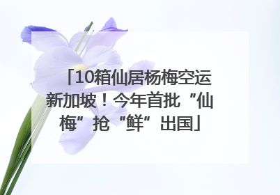 10箱仙居杨梅空运新加坡！今年首批“仙梅”抢“鲜”出国