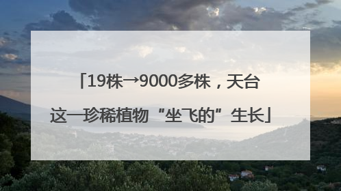 19株→9000多株，天台这一珍稀植物“坐飞的”生长