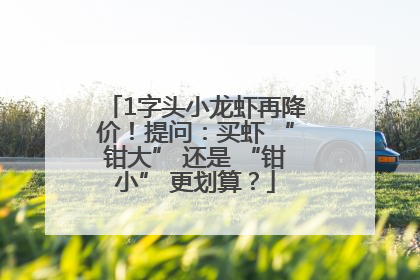 1字头小龙虾再降价！提问：买虾 “钳大” 还是 “钳小” 更划算？
