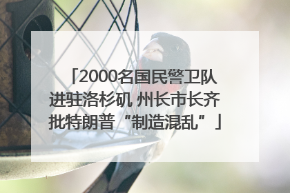 2000名国民警卫队进驻洛杉矶 州长市长齐批特朗普“制造混乱”